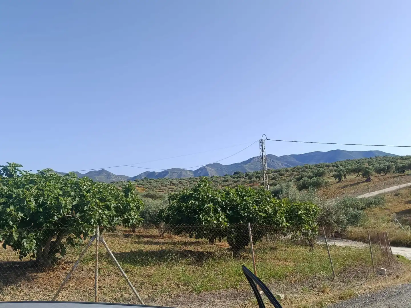 Terreni e lotti in vendita a Alquería - Torrealquería, imagen 14