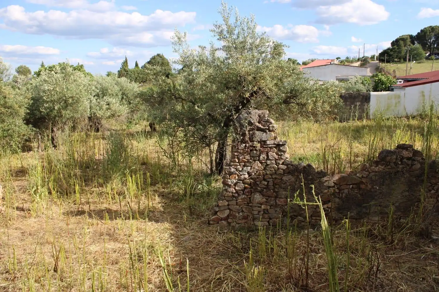 Terreni e lotti in vendita a Sierra de Fuentes, imagen 7