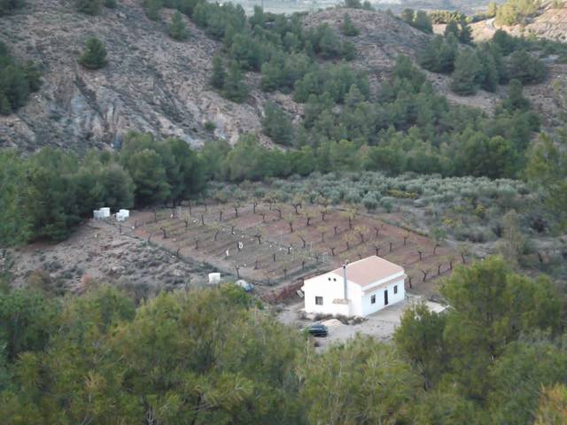 Finca rústica en Venta en Purchena