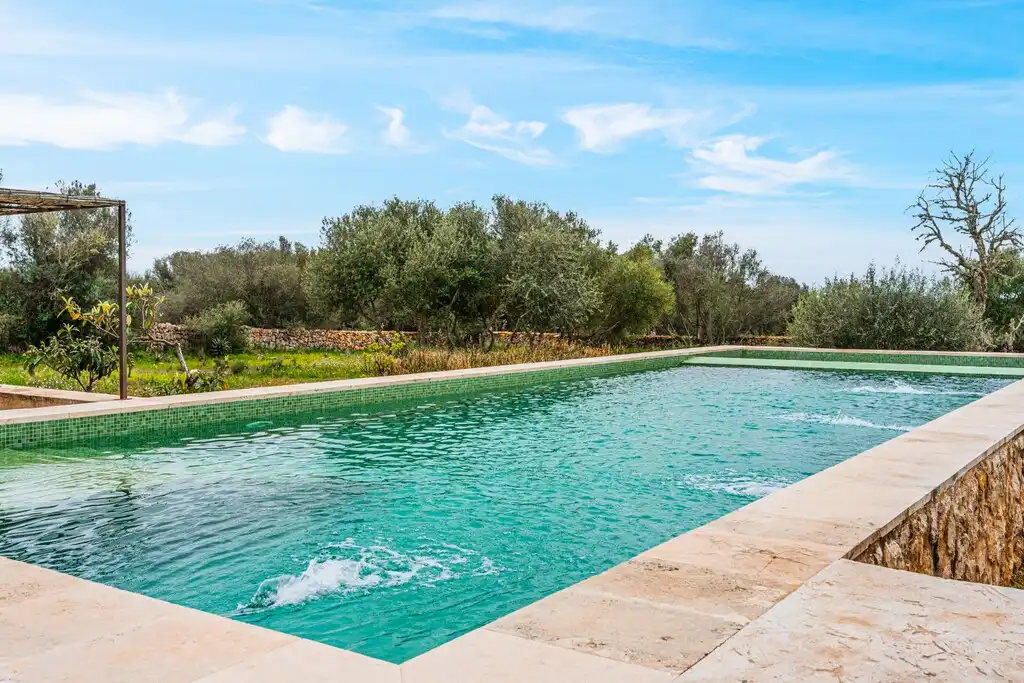 Casa rústica con piscina en venta en Ses Salines Poble, imagen 4