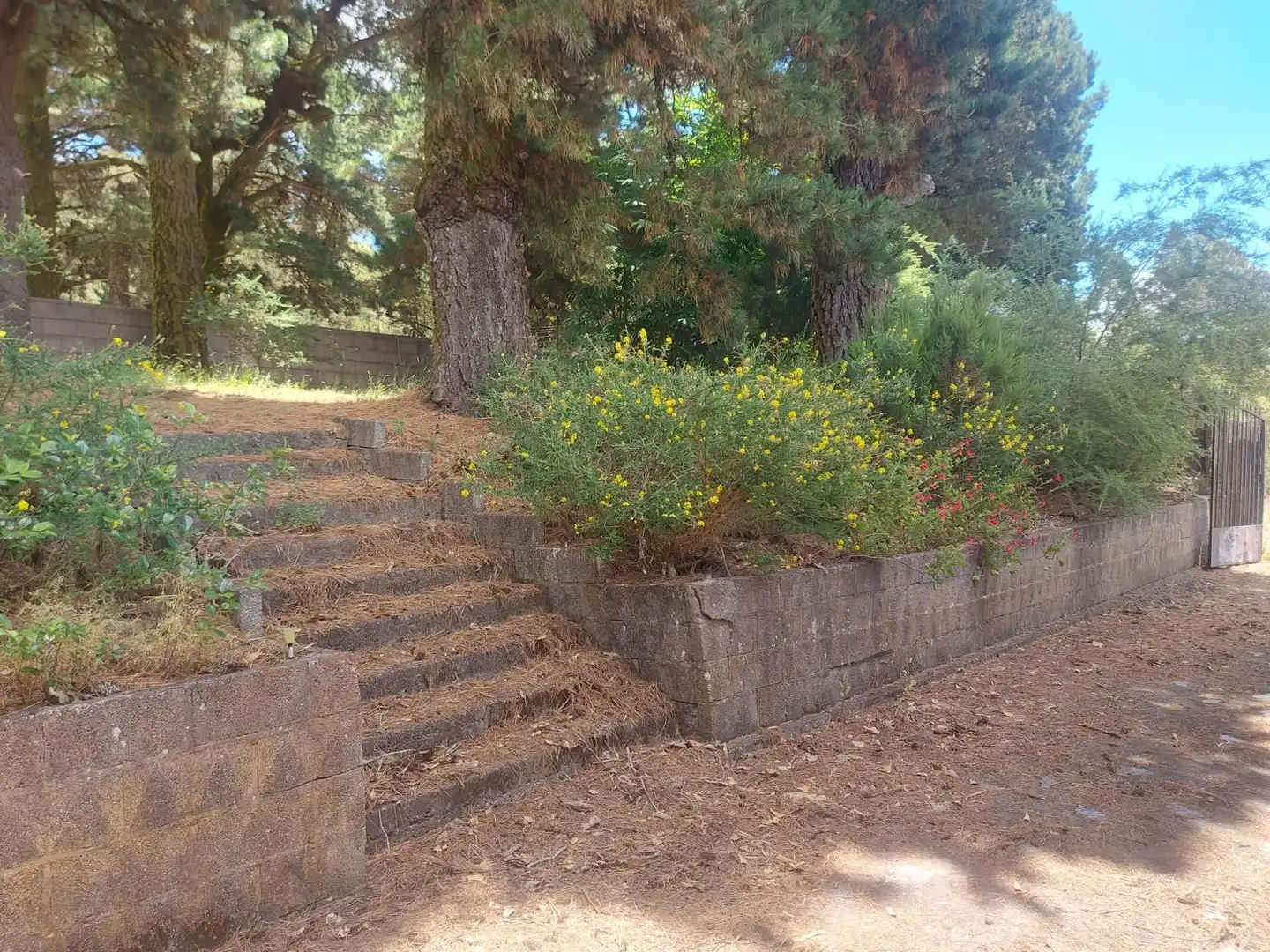Garden of Country homes for sale in El Sauzal  with Heating, Private garden and Terrace