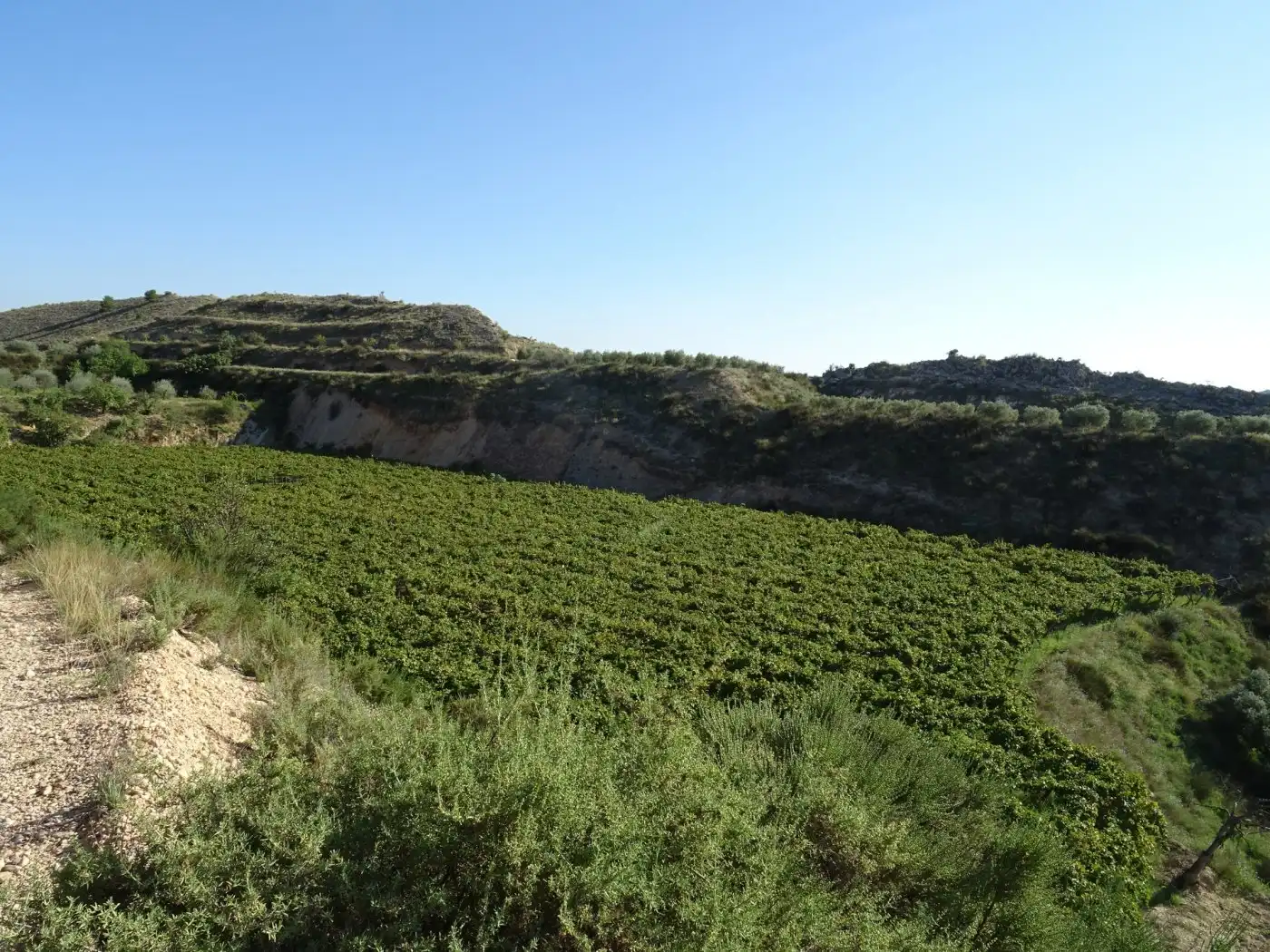 Casa o xalet en venda a Pedanías Este