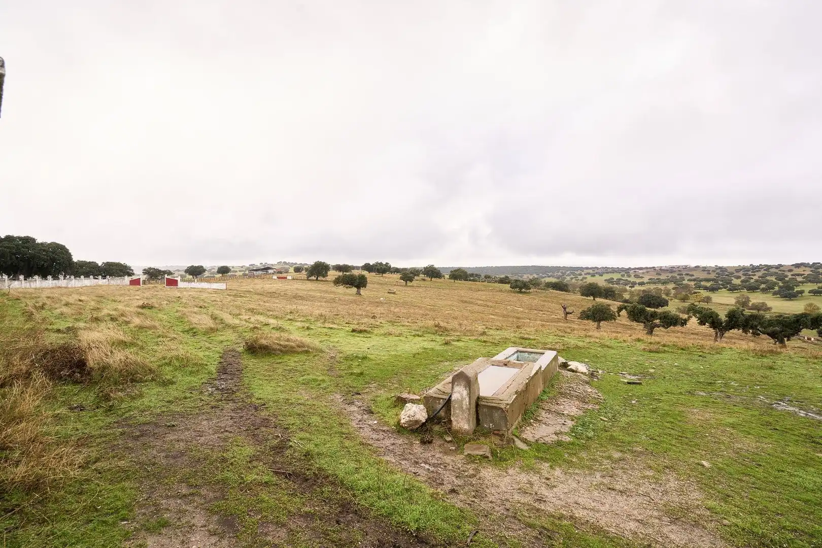 Finca rústica en venta en Horcajo Medianero