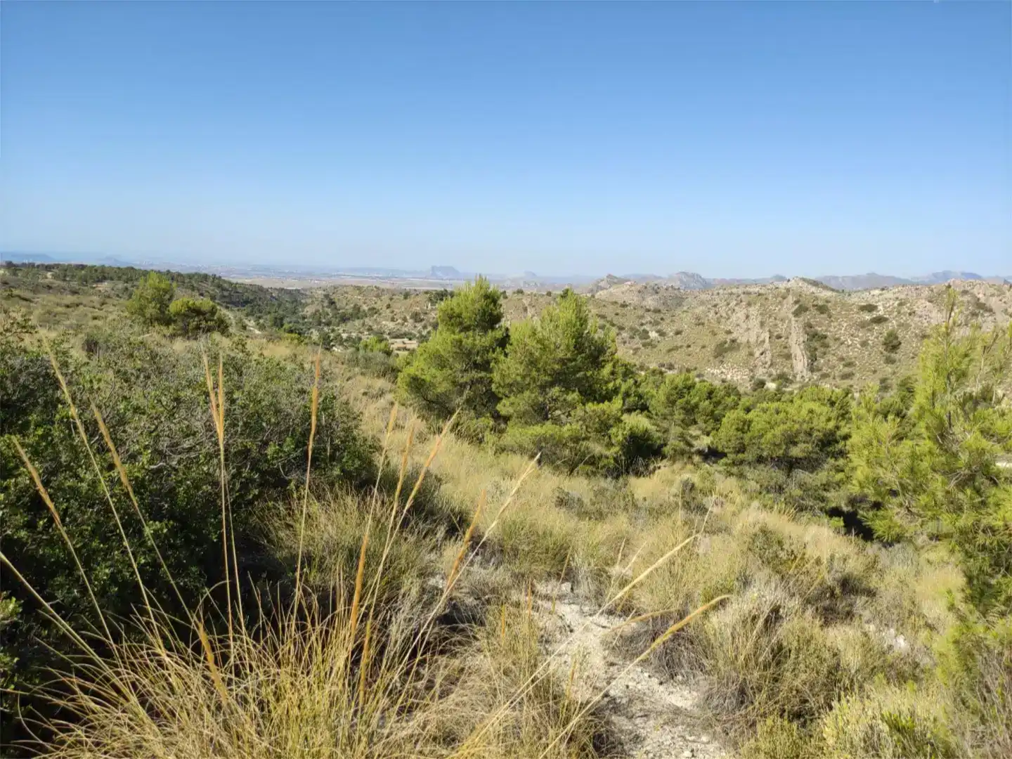 Terreno en venta en Busot