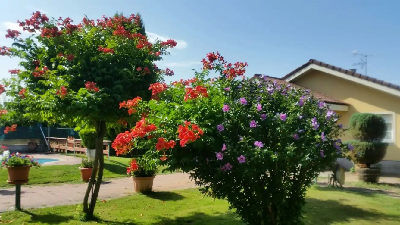 Jardín de Finca rústica en venta en Cabañas Raras con Calefacción, Terraza y Piscina