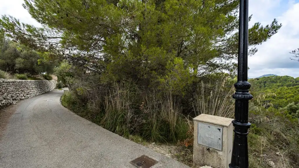 Rustikales Grundstück zum Verkauf in Puigpunyent, imagen 16