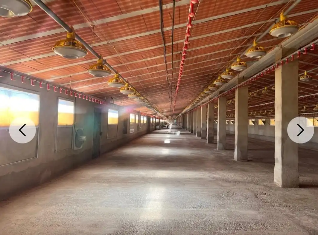 Vista exterior de Nave industrial en venta en Andilla