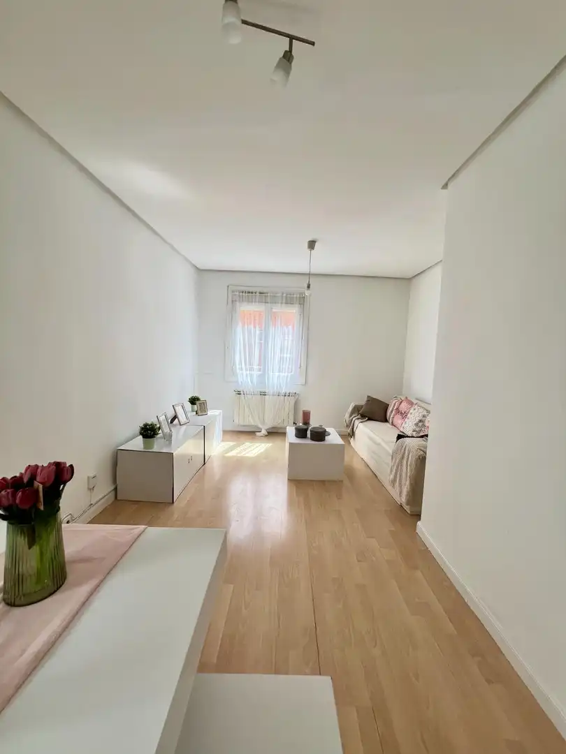 Sala d'estar de Apartament de lloguer en Madrid amb Aire condicionat i Calefacció