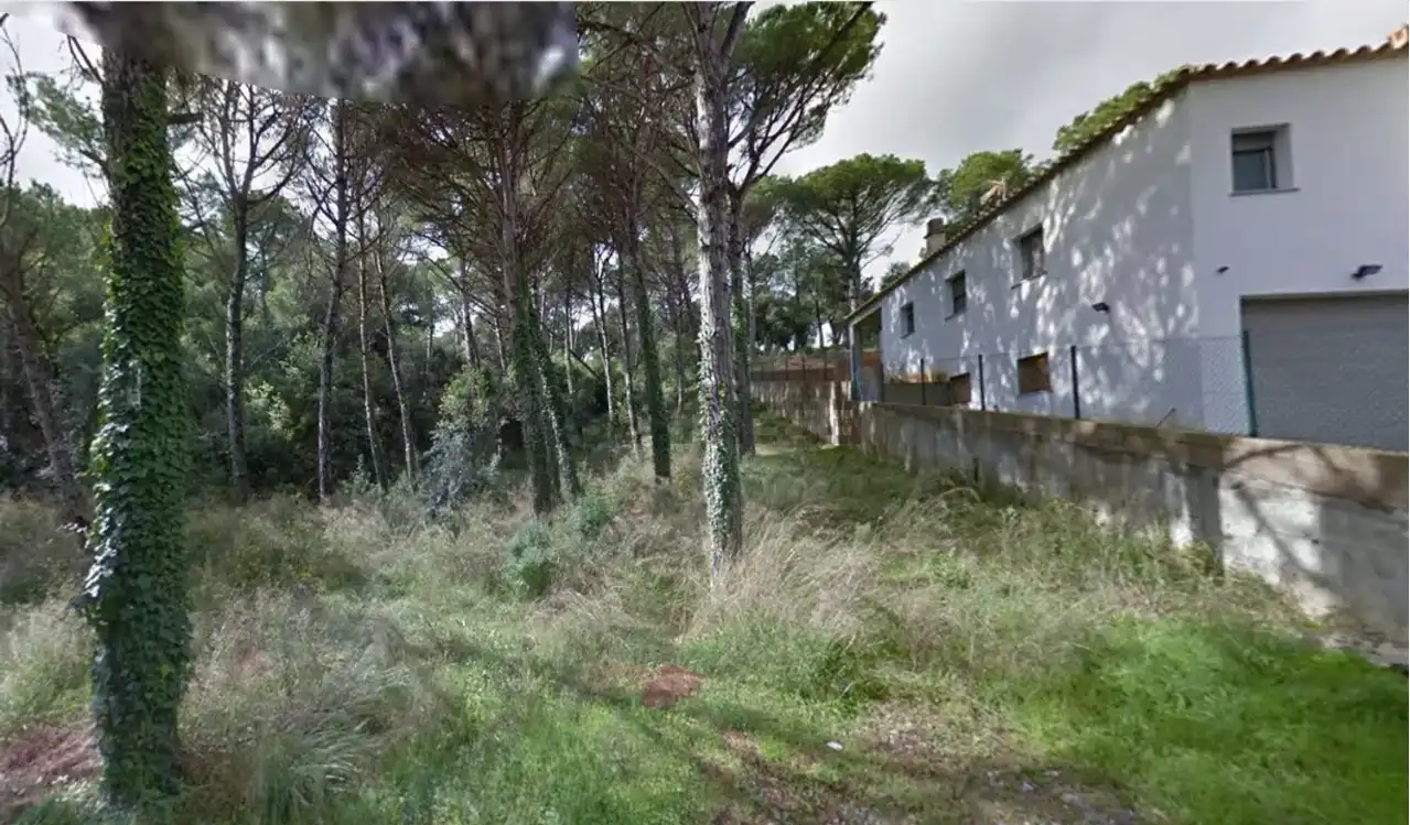 Terrains et parcelles à vendre à Mas Pere - Río de Oro, imagen 11