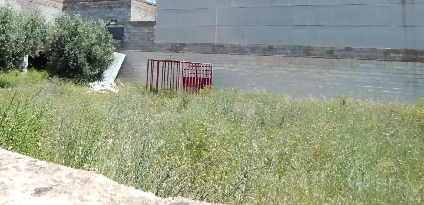 Terreny residencial en venda a Aielo de Malferit