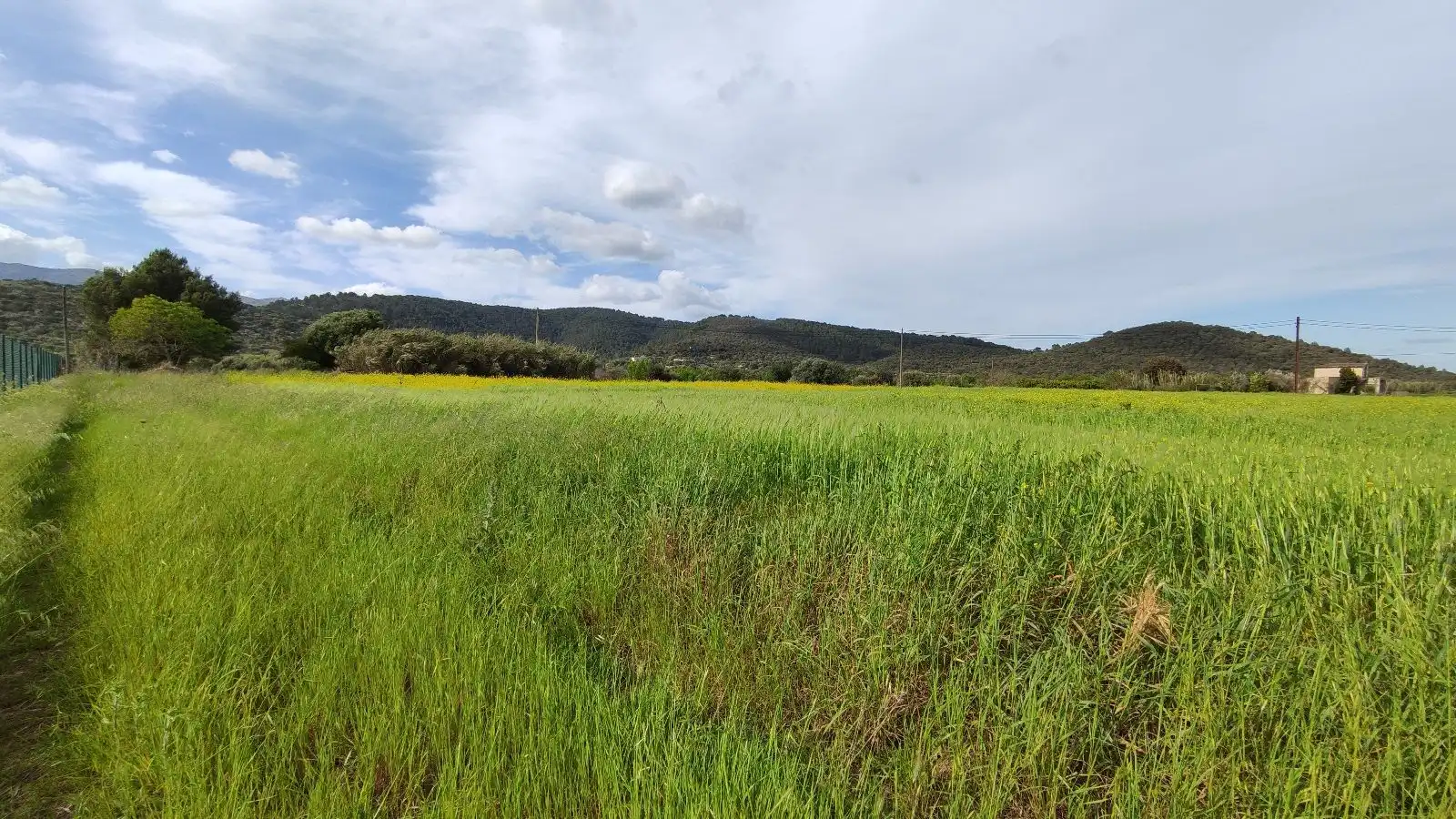 Terrain rustique à vendre à Campanet, imagen 10