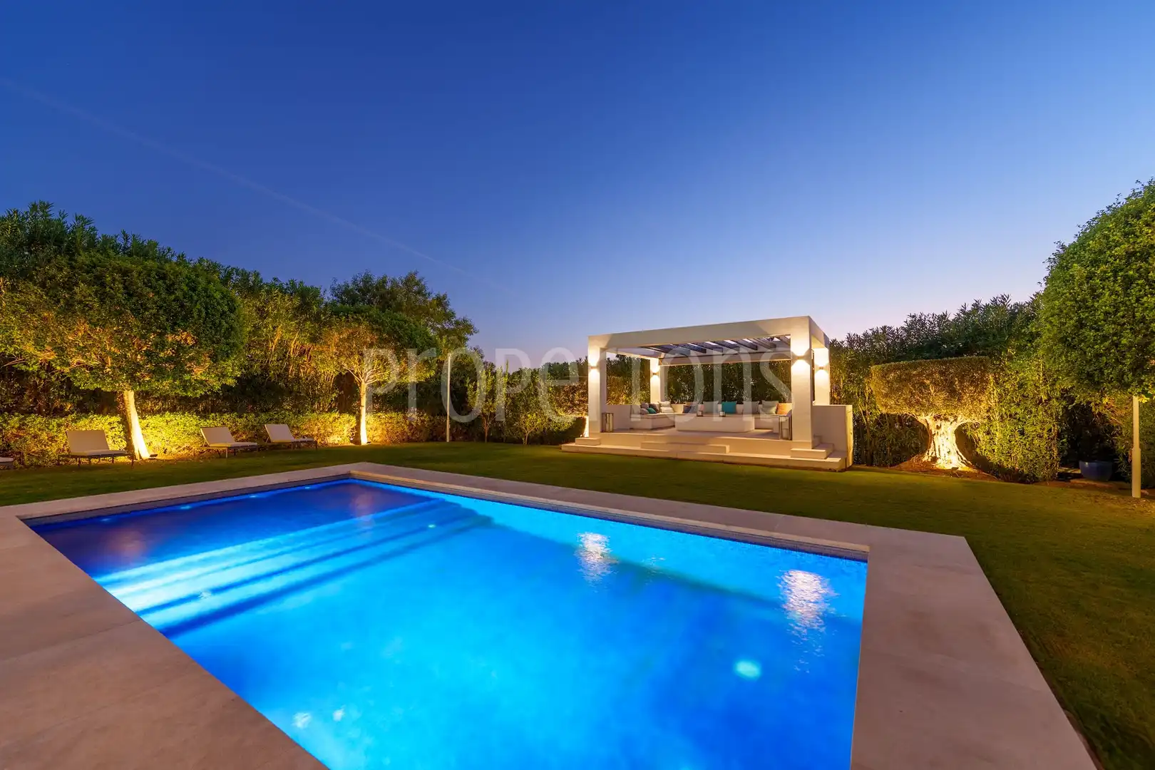 Piscina de Casa o chalet en venta en Marbella