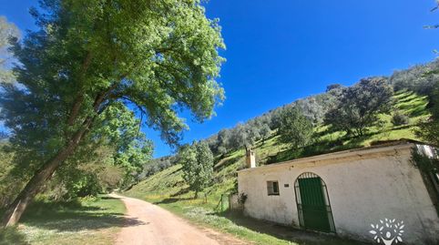 Foto 4 de Finca rústica en venda a Camino de la Ermita, 18, Las Navas de la Concepción, Sevilla