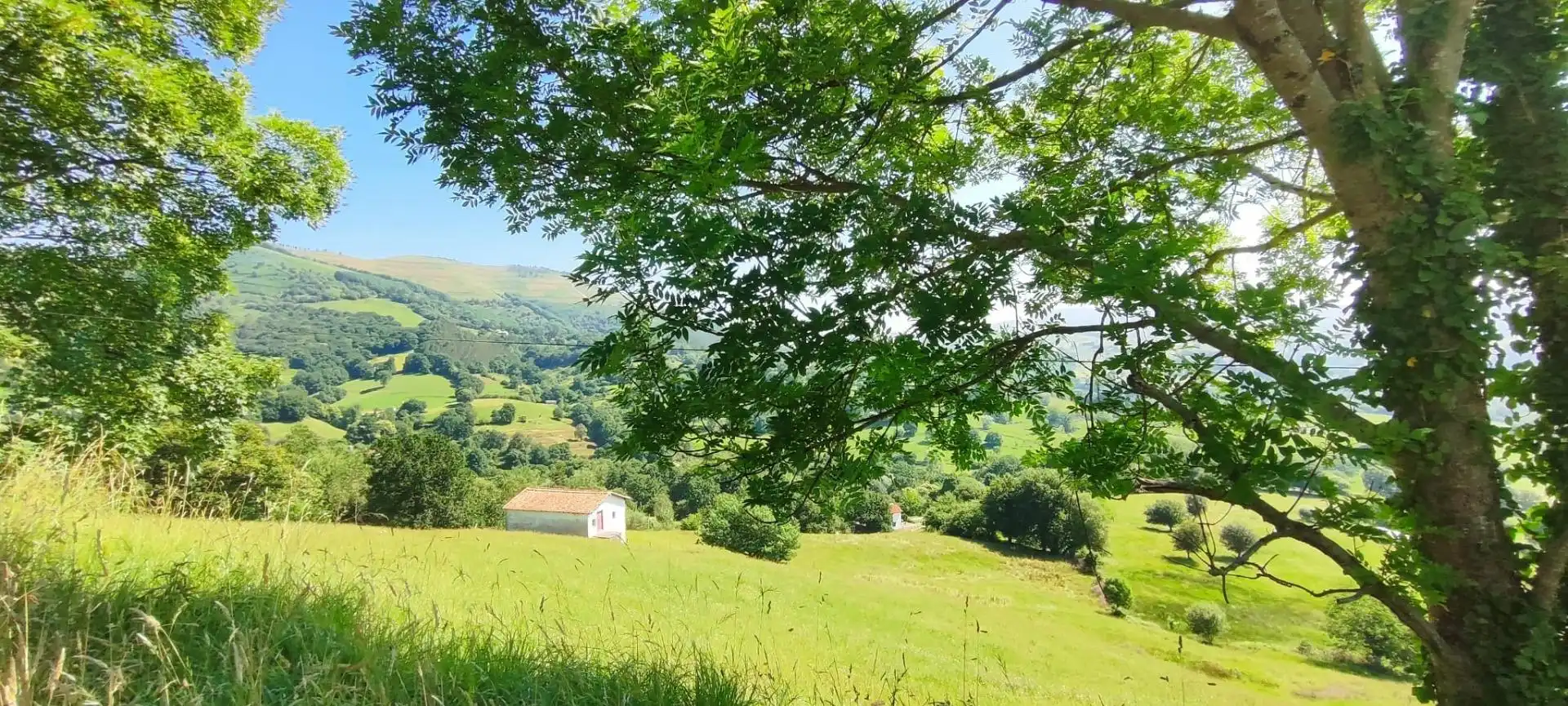 Vista exterior de Casa o chalet en venta en Villafufre con Jardín privado