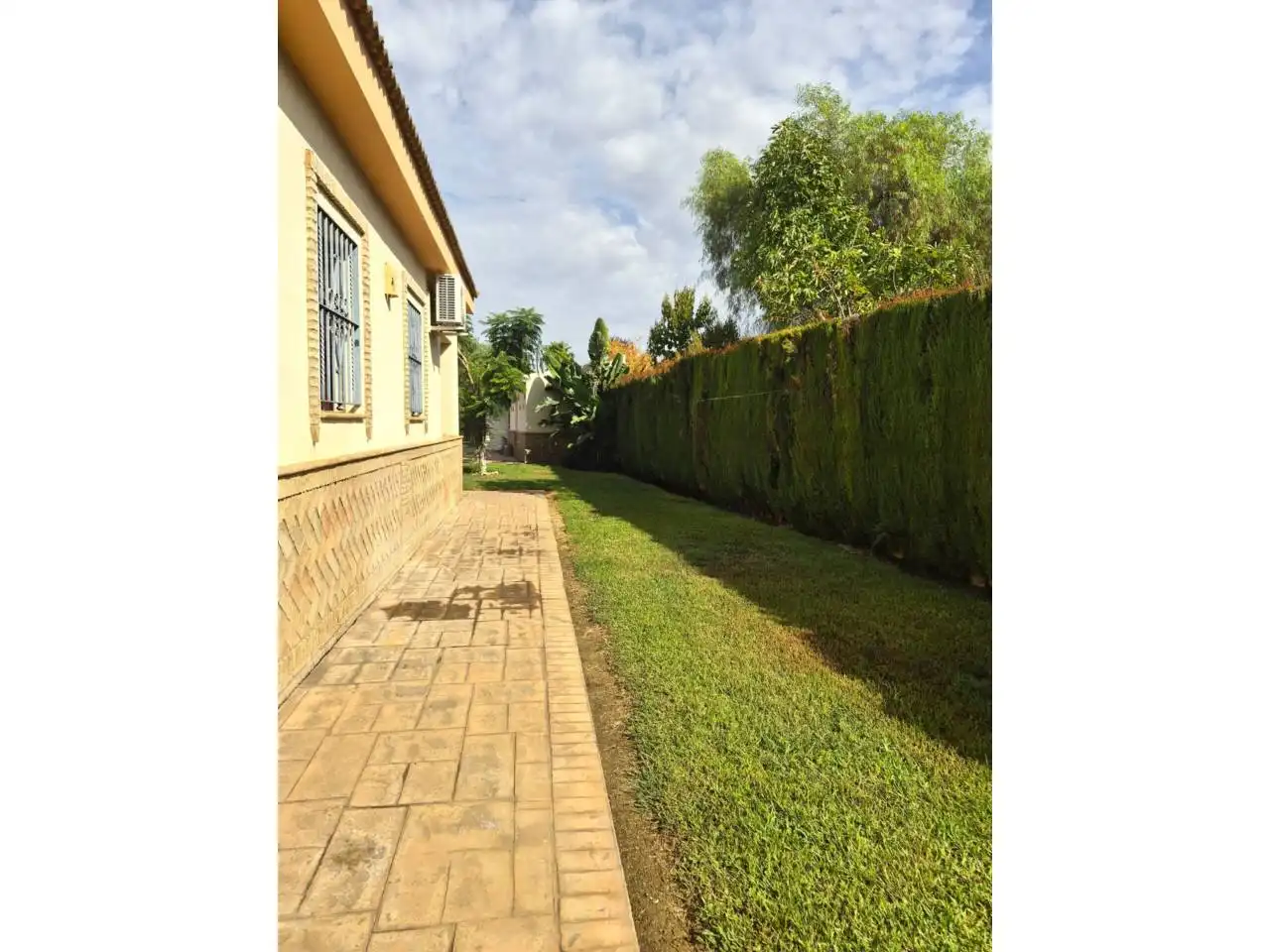 Garden of Country homes for sale in Pilas, Sevilla