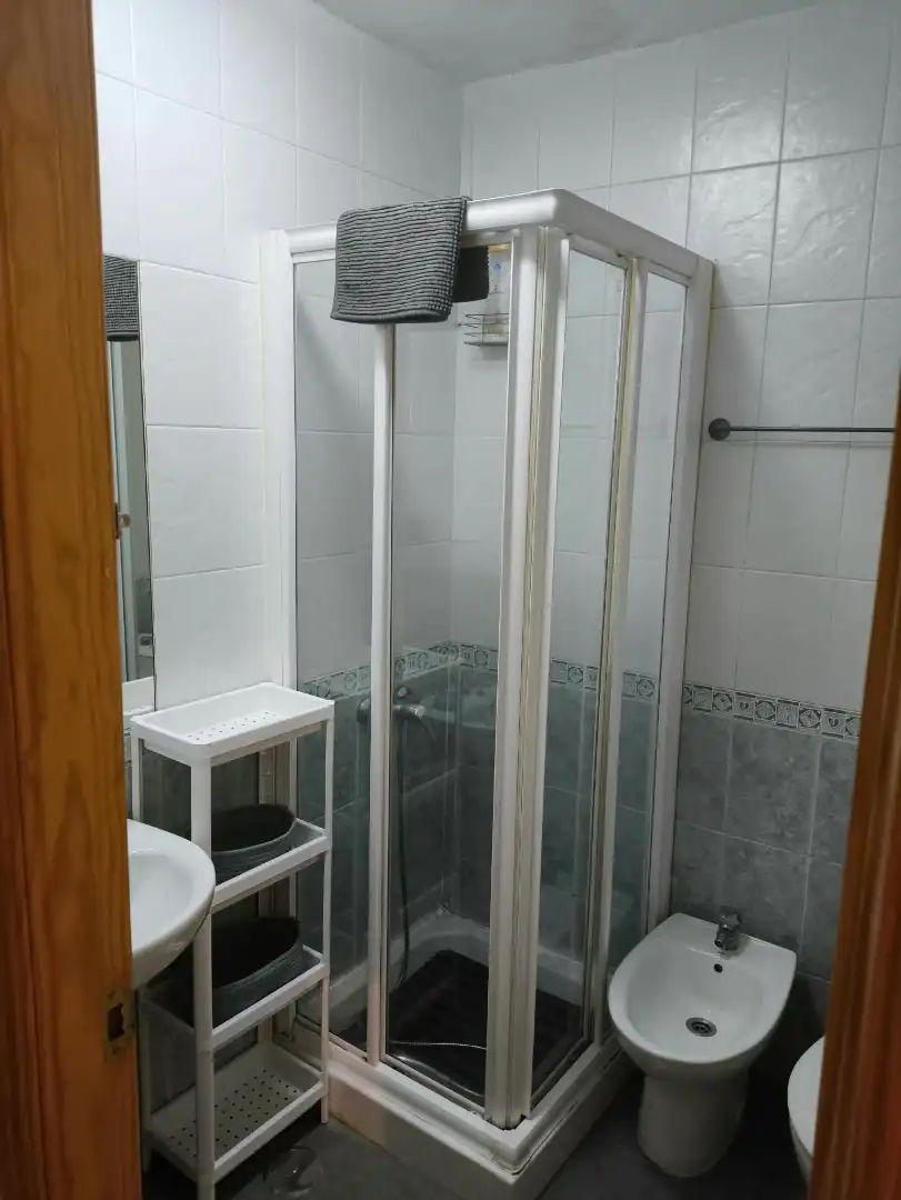 Bathroom of Flat for rent in Centro