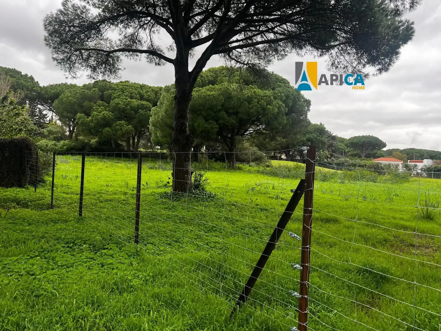Terrenys i solars en venda a La Banda - Campo de Fútbol, imagen 4