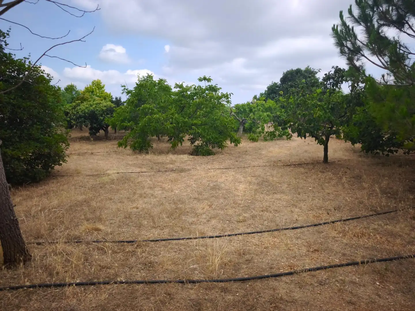 Finca rústica en venda en Masdenverge amb Jardí privat, Traster i Moblat