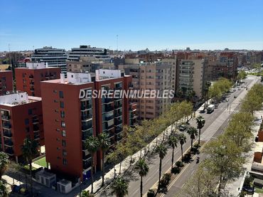 Pis amb piscina en venda a Avinguda del Mestre Rodrigo