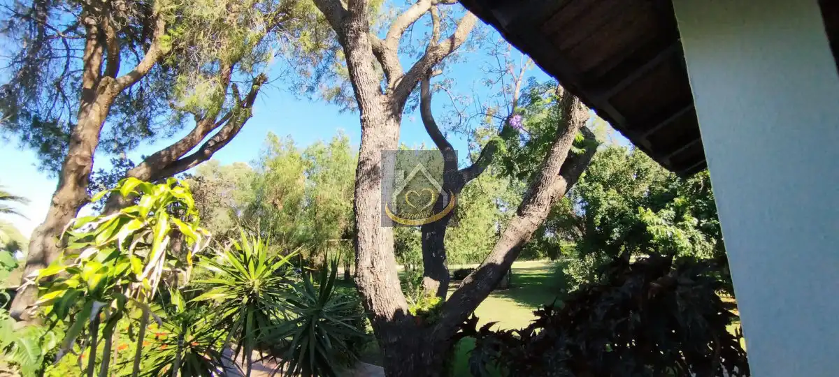 Garden of Land for sale in Cartaya