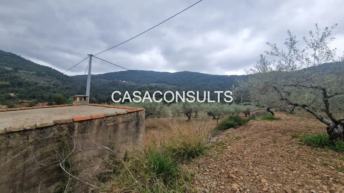 Casa rústica amb jardí en venda a Llucena / Lucena del Cid, imagen 10