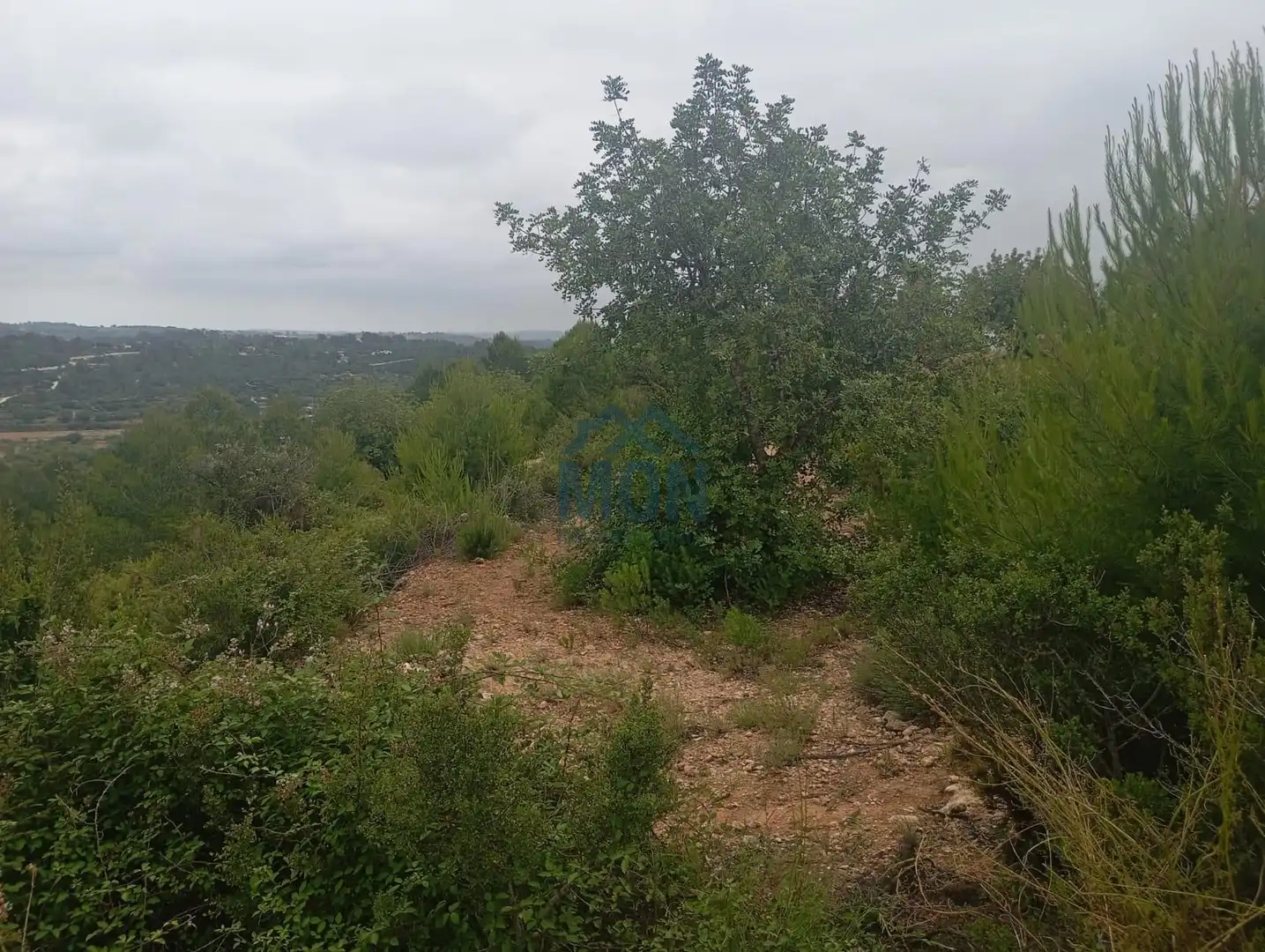 Terreno rustico in vendita a Buñol, imagen 8