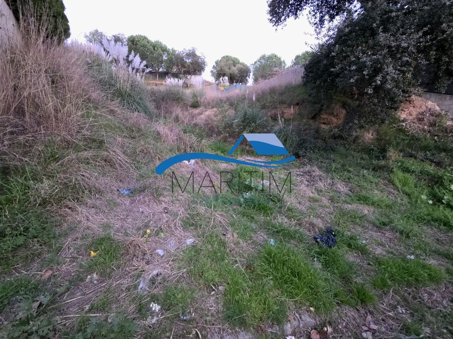 Terrenos y solares en venta en Sensitiva, imagen 3