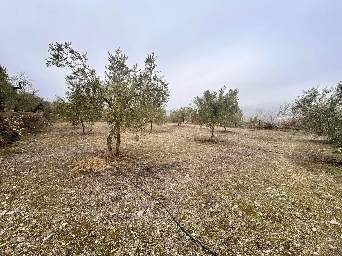Finca rústica en venda en Abrucena