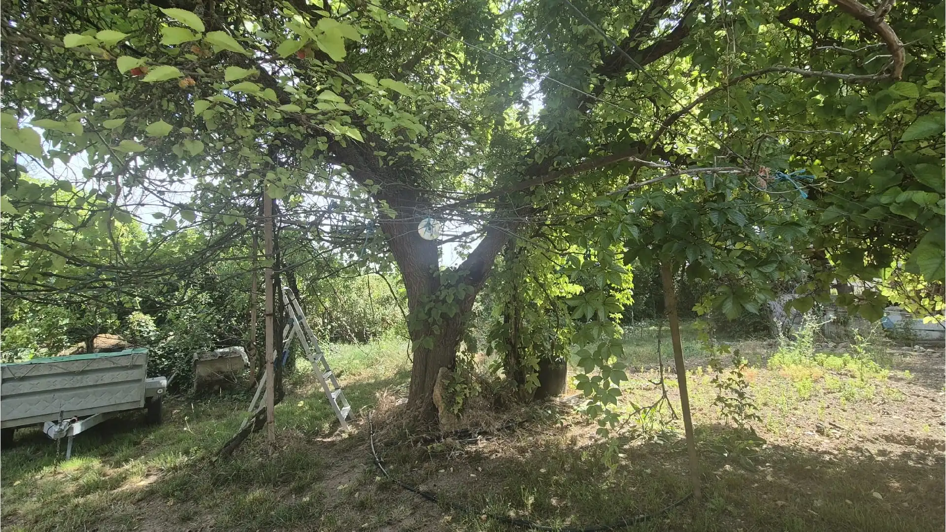 Houses for sale in Villamuriel de Cerrato  with Heating, Private garden and Swimming Pool