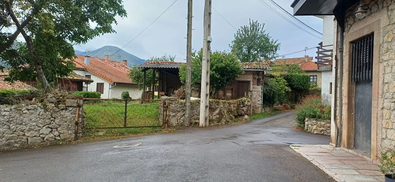 Exterior view of Houses for sale in Nava  with Swimming Pool