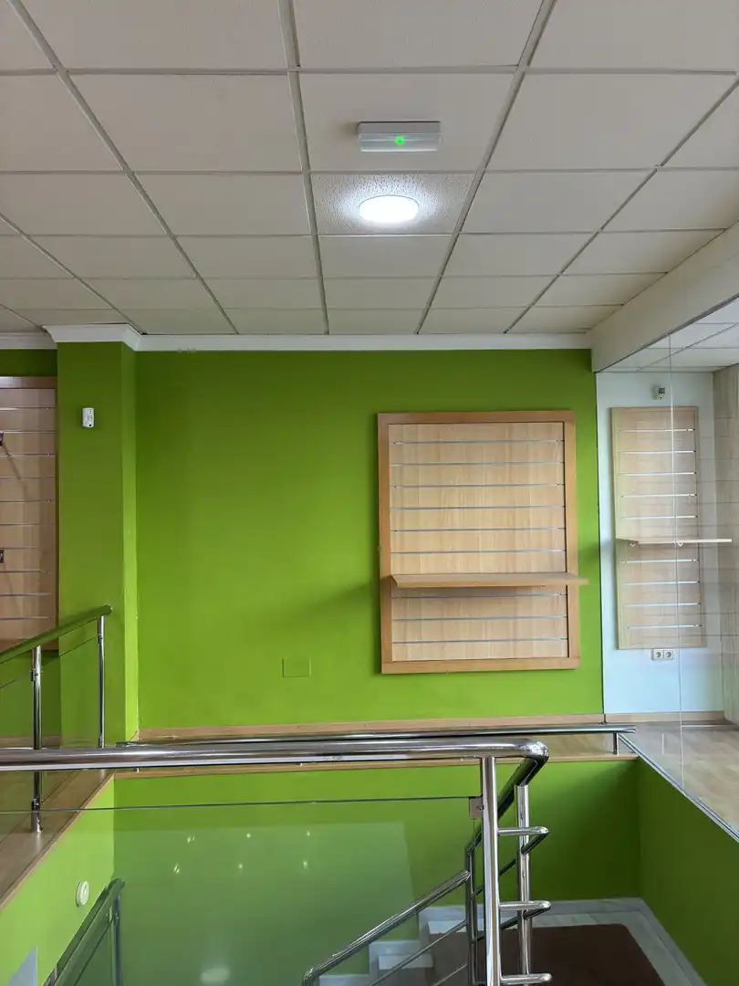 Business premises for sale in Marbella Centro, imagen 12