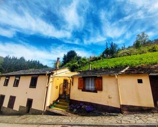 Vista exterior de Casa o xalet en venda en Taramundi amb Traster