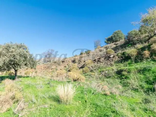 Terreni e lotti in vendita a Torrox Pueblo, imagen 6