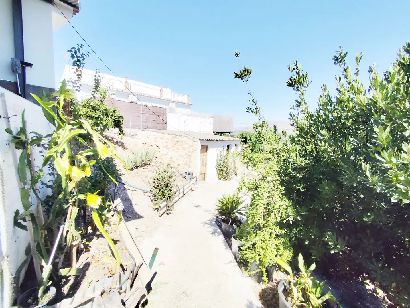 Maison rustique avec jardin à vendre à Casalpalma - Fahala, imagen 24