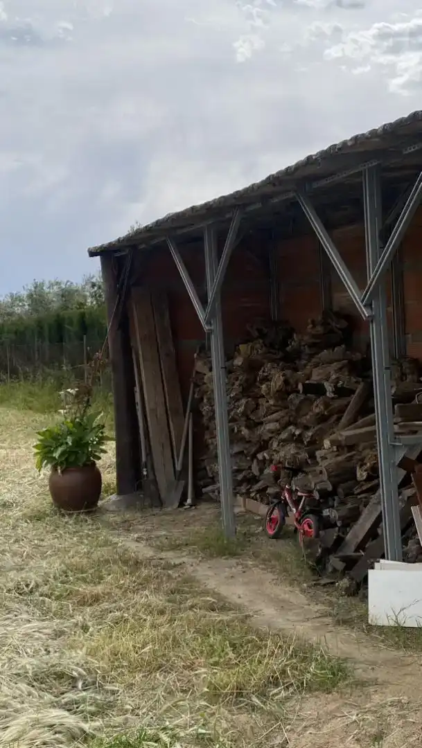 Jardí de Casa o xalet en venda en La Carlota amb Aire condicionat i Piscina