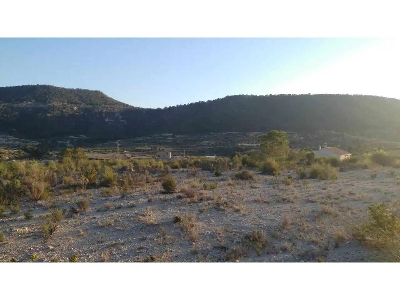 Lands and plots for sale in Ojós, imagen 17