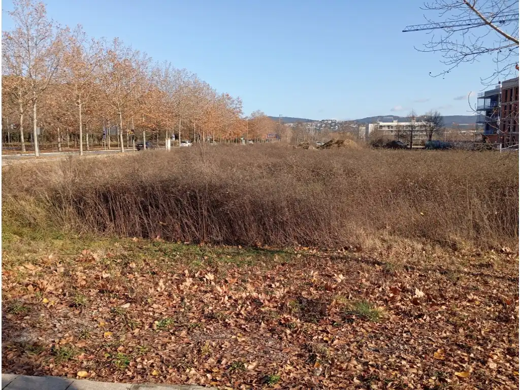 Residential land for sale in Carretera S Gregori-Domeny, imagen 5