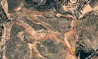 Terrain rustique à vendre à Alcolea, imagen 3