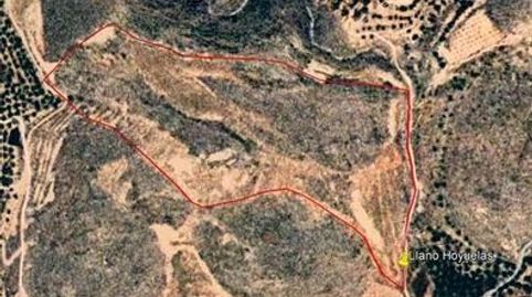 PARCELA CON OPCIÓN DE CORTIJO EN ALCOLEA, imagen 3