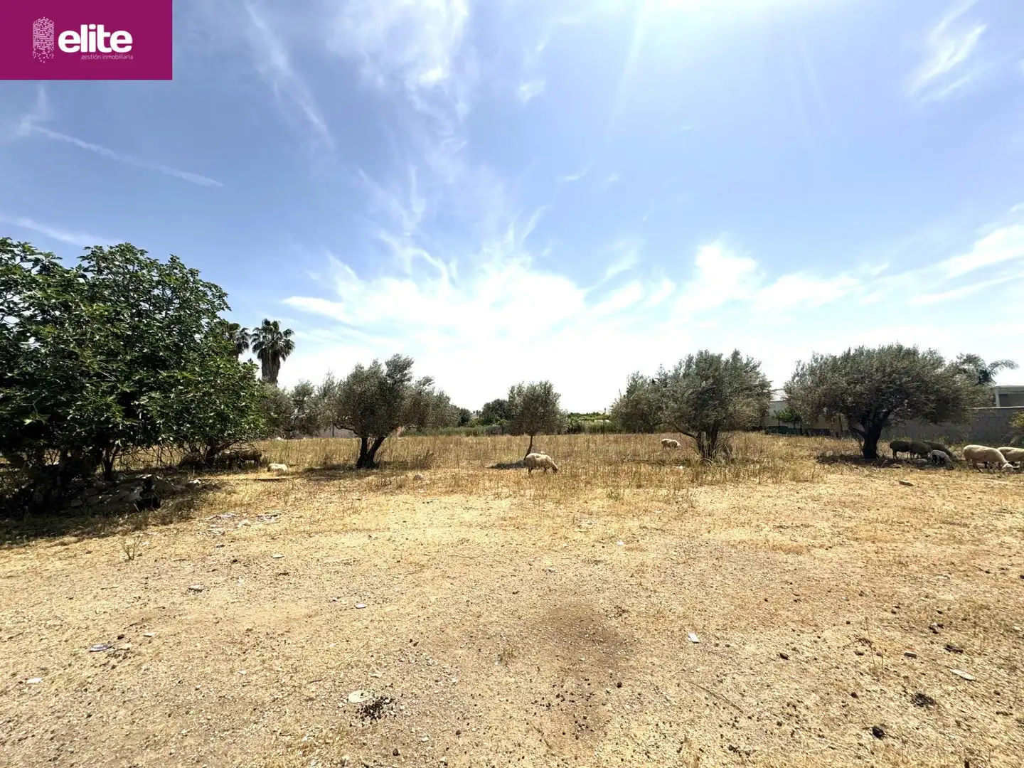 Residential for sale in Pozoalbero