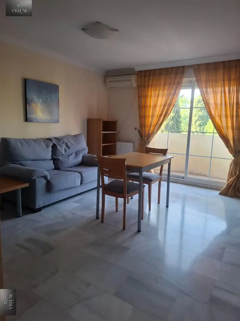 Wohnzimmer von Wohnungen zur Miete in Granada mit Klimaanlage, Heizung und Möbliert