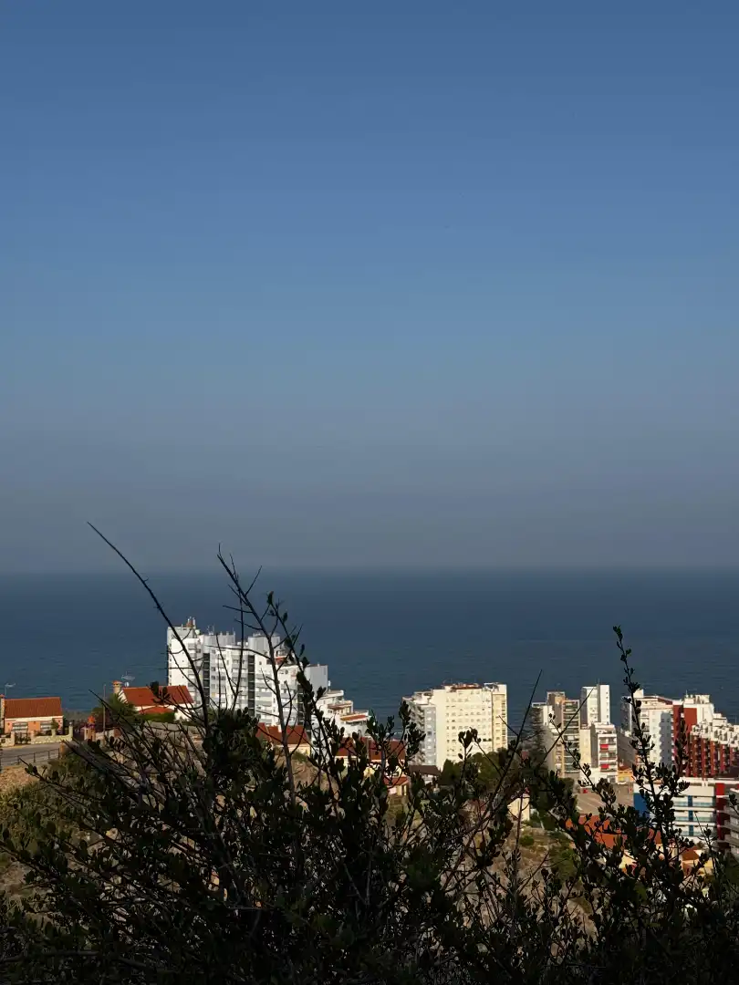 Vista exterior de Casa o chalet en venta en Rafal, Alicante