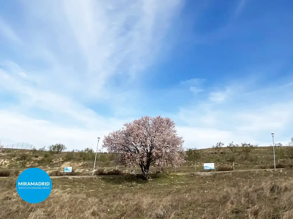 Residencial en venta en Paracuellos de Jarama