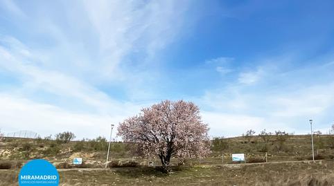 Photo 2 of Residential for sale in Calle Flor de Lis, Altos de Jarama, Paracuellos de Jarama