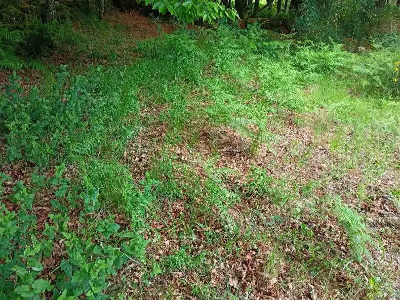Rural land for sale in a peroxa 2, imagen 7