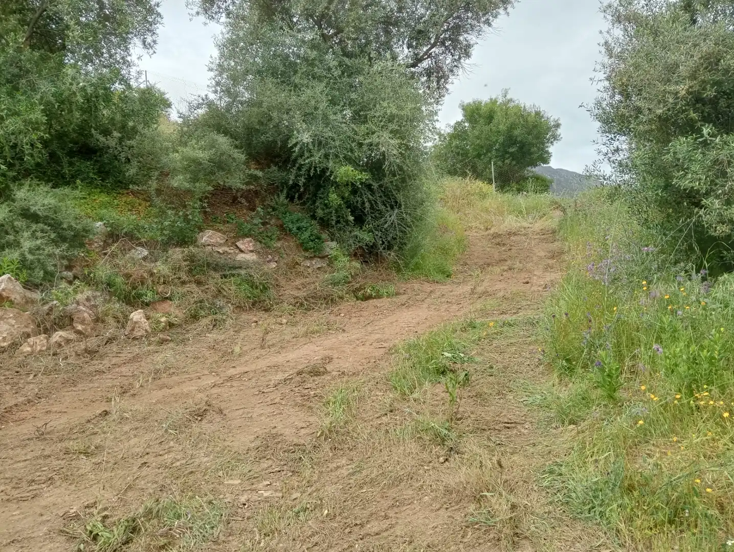 Terreno rustico in vendita a Monda, imagen 2