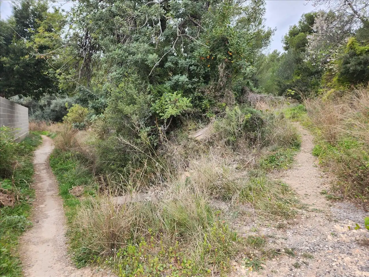 Residential land for sale in Pl Número 115, imagen 2