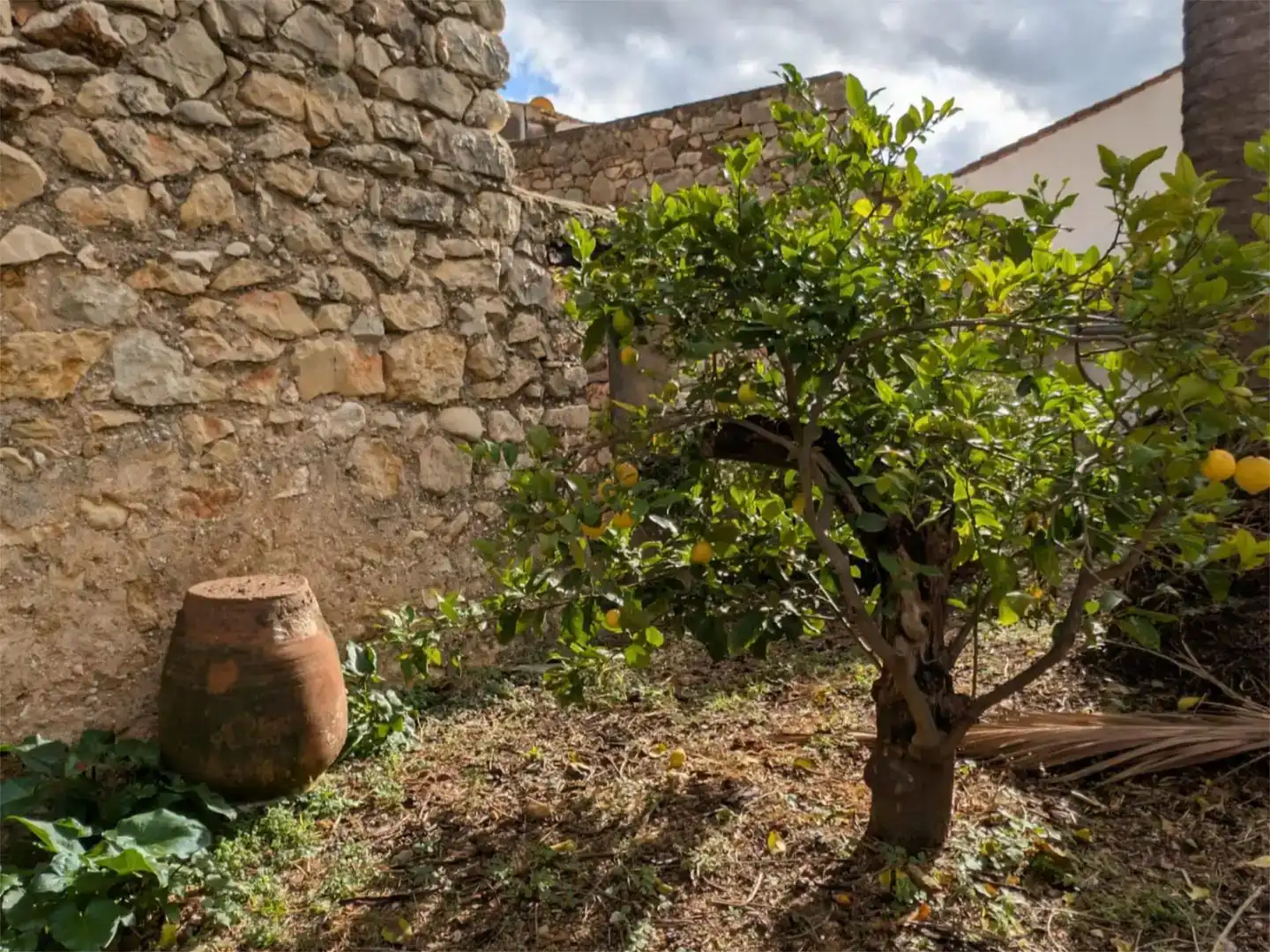 Jardí de Pis en venda en Alcalalí