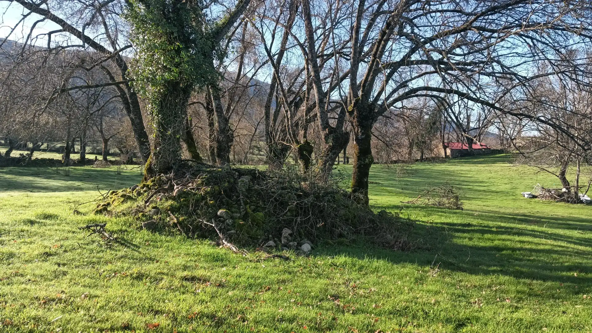 Terreni e lotti in vendita a Hervás, imagen 9