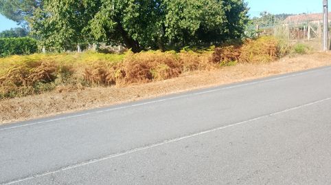 Parcela en San Vicente de Nogueira, Meis   Pontevedra, immagine 5